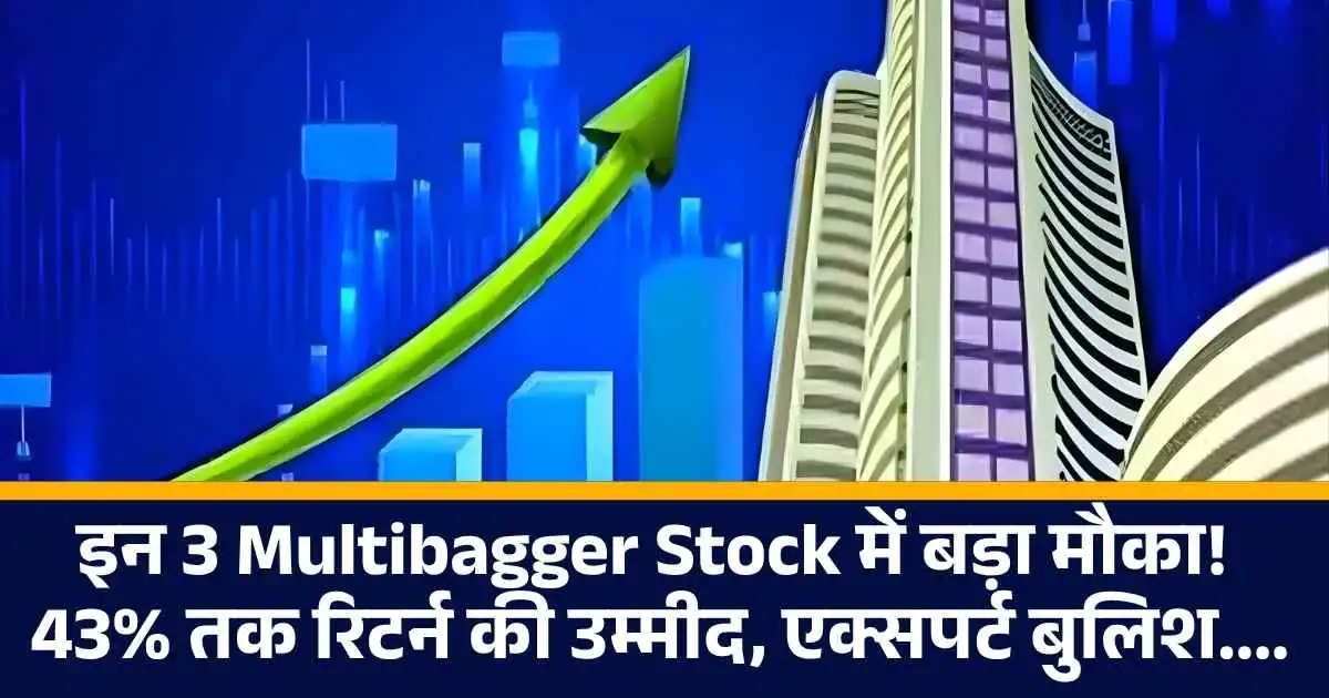 इन 3 Multibagger Stock में बड़ा मौका! 43% तक रिटर्न की उम्मीद, एक्सपर्ट बुलिश....